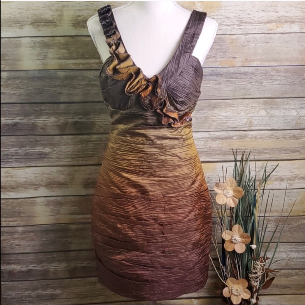 Max & Cleo Ombr Whisky Cocktail Dress Size 10 Nwt